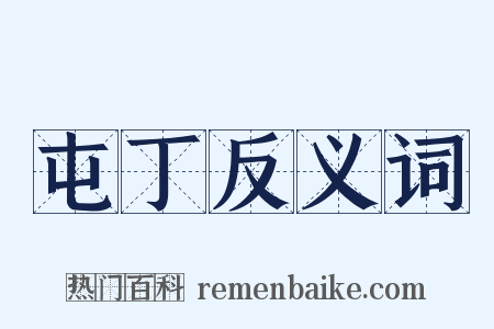 屯丁反义词是什么意思的图片